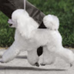 Meet your Posher, Zachary